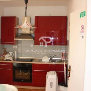 Umag Obiteljska kuća 280m2 s 4 stana i okućnicom