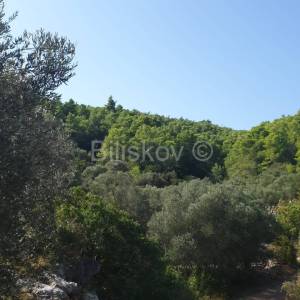 Vela Luka, prodaja poljoprivredno zemljište 10756m2