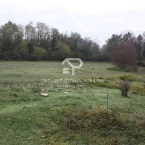 Veliko poljoprivredno zemljište - Istra Tinjan 12500m2