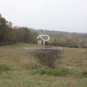 Veliko poljoprivredno zemljište - Istra Tinjan 12500m2