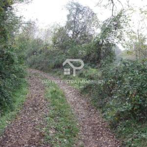 Veliko poljoprivredno zemljište - Istra Tinjan 12500m2