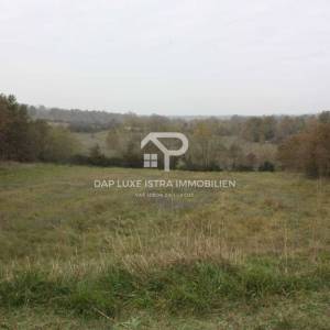 Veliko poljoprivredno zemljište - Istra Tinjan 12500m2