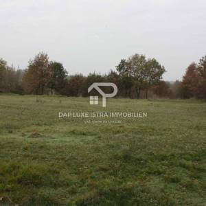 Veliko poljoprivredno zemljište - Istra Tinjan 12500m2