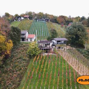 Vikendica s vinogradom u okolici Samobora