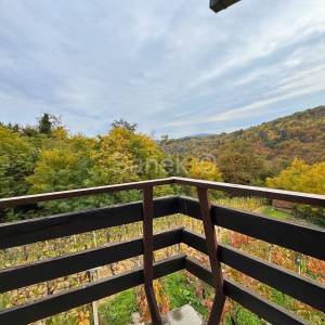 Vikendica s vinogradom u okolici Samobora