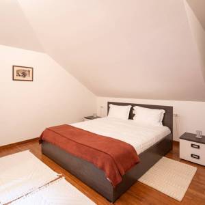 Vila u Čajkovićima