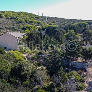 Vis, Komiža, poljoprivredno zemljište uz samo more