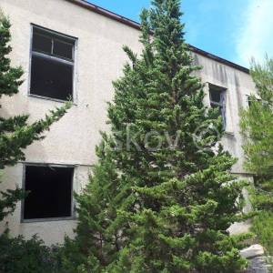 Vis, Komiža, poljoprivredno zemljište uz samo more