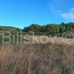 Vis,Velo Voščica poljoprivredno zemljište