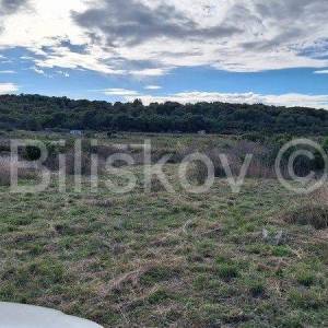 Vis,Velo Voščica poljoprivredno zemljište