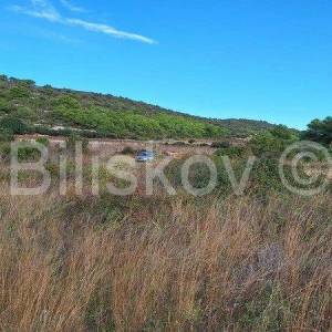 Vis,Velo Voščica poljoprivredno zemljište