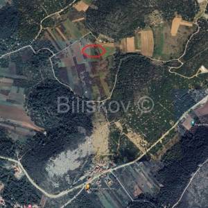 Vis,Velo Voščica poljoprivredno zemljište