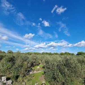 Vodice, zemljište poslovne namjene 1521m2, prodaja