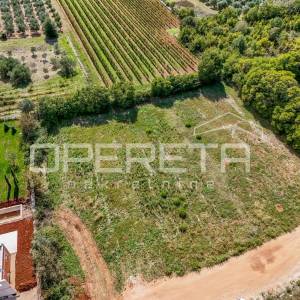 Vodnjan, Vodnjan, 886,00 m2, 228.500,00 EUR