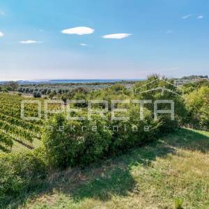 Vodnjan, Vodnjan, 886,00 m2, 228.500,00 EUR