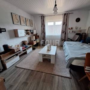 Vrbovsko, kuća za odmor, uređena okućnica