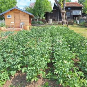 Vrbovsko, kuća za odmor, uređena okućnica