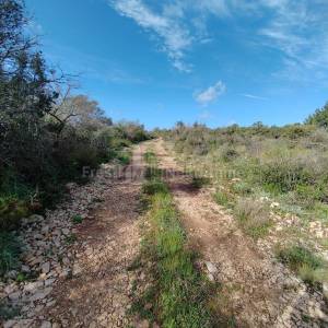 ZADAR-BRIŠEVO-ATRAKTIVNO ZEMLJIŠTE 3138 m2, TOP LOKACIJA!