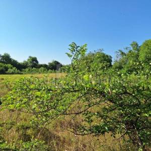 ZADAR-BRIŠEVO-ATRAKTIVNO ZEMLJIŠTE 3138 m2, TOP LOKACIJA!