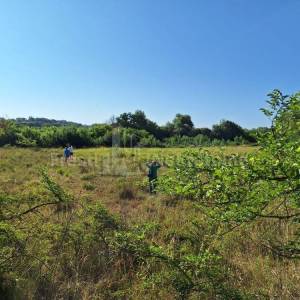 ZADAR-BRIŠEVO-ATRAKTIVNO ZEMLJIŠTE 3138 m2, TOP LOKACIJA!