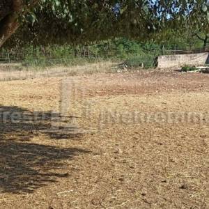 ZADAR-BRIŠEVO-ATRAKTIVNO GRAĐEVINSKO ZEMLJIŠTE- PRILIKA!