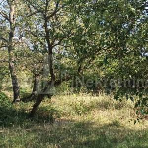 ZADAR- BRIŠEVO-ATRAKTIVNO GRAĐEVINSKO ZEMLJIŠTE