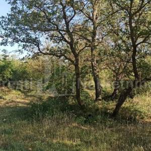 ZADAR- BRIŠEVO-ATRAKTIVNO GRAĐEVINSKO ZEMLJIŠTE