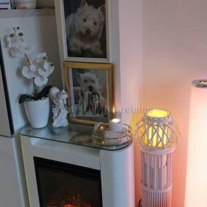 ZADAR - SKROČINI - DVOJNA KUĆA - 265.000