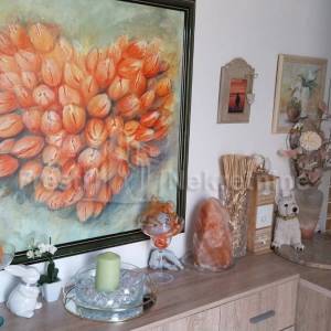 ZADAR - SKROČINI - DVOJNA KUĆA - 265.000