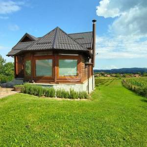 Zagorje, Pustodol, samostojeća kuća, bazen, plantaža sibirske borovnice, uporabna dozvola