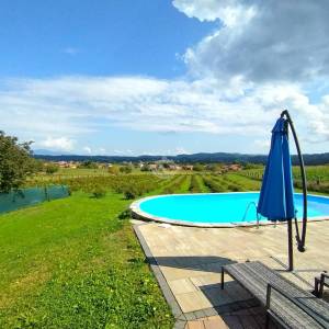 Zagorje, Pustodol, samostojeća kuća, bazen, plantaža sibirske borovnice, uporabna dozvola