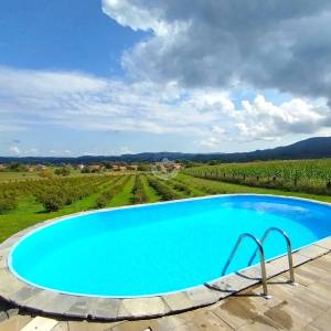 Zagorje, Pustodol, samostojeća kuća, bazen, plantaža sibirske borovnice, uporabna dozvola