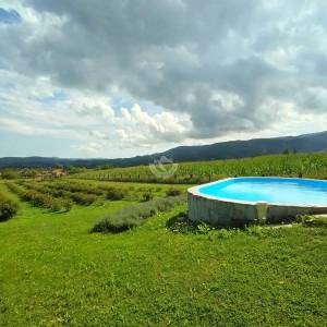 Zagorje, Pustodol, samostojeća kuća, bazen, plantaža sibirske borovnice, uporabna dozvola