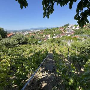 Zagreb, Gornje Vrapče, Građevinsko zemljište 2575m2