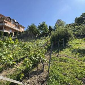 Zagreb, Gornje Vrapče, Građevinsko zemljište 2575m2