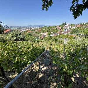 Zagreb, Gornje Vrapče, Građevinsko zemljište 2575m2