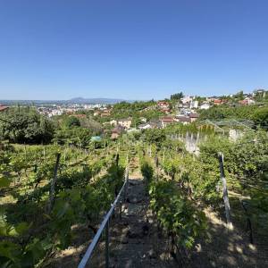 Zagreb, Gornje Vrapče, Građevinsko zemljište 2575m2