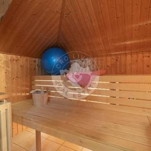 Zagreb okolica, Sveti Ivan Zelina, Samostojeća Kuća 616 m2