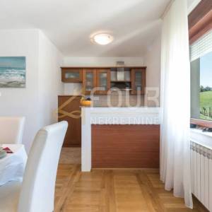 Zagreb, Starjak, obiteljska kuća s bazenom, garažom i velikom okućnicom