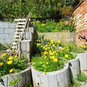 Zagreb zapad,  Črnomerec, obiteljska kuća, apartman, garaža, parking