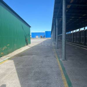 Zakup, Dugo Selo, zemljište u industr. zoni, 2 hale i nadstrešnica