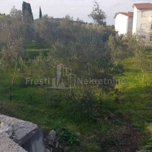 ŽDRELAC - GRAĐEVINSKI TEREN 393m2