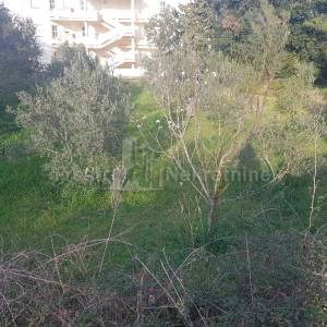 ŽDRELAC - GRAĐEVINSKI TEREN 393m2