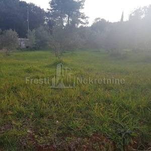 ŽDRELAC - GRAĐEVINSKI TEREN 393m2