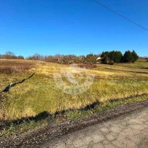 Zelina, Drenova, građevinsko zemljište 4000 m2