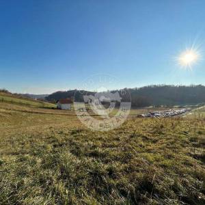 Zelina, Drenova, građevinsko zemljište 4000 m2