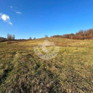 Zelina, Drenova, građevinsko zemljište 4000 m2