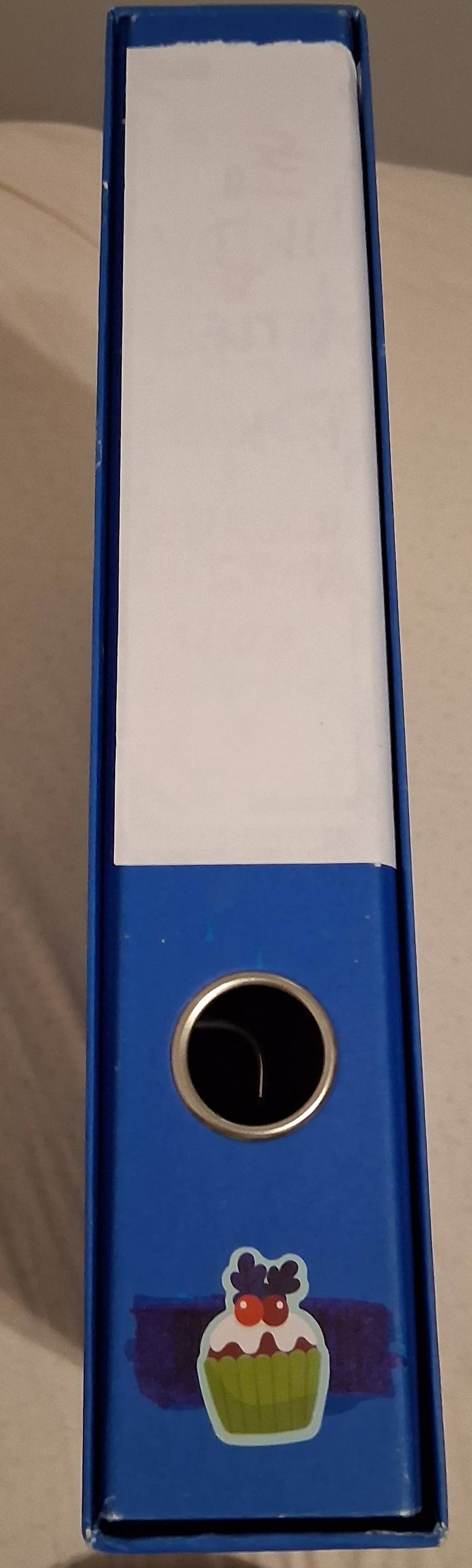 A4 tanki uski božićni  registrator