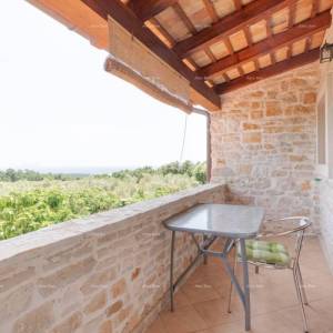 Blizina Marčane. Prodajemo dvije kamene kuće sa bazenom na jednoj okućnici,  kuće za odmor, idealne za dvije obitelji.