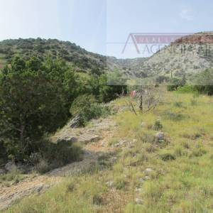 Brač Bol, zemljište 12459 m2 prvi red do mora